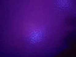 Amateur Free Live Porn of camila_valkirye